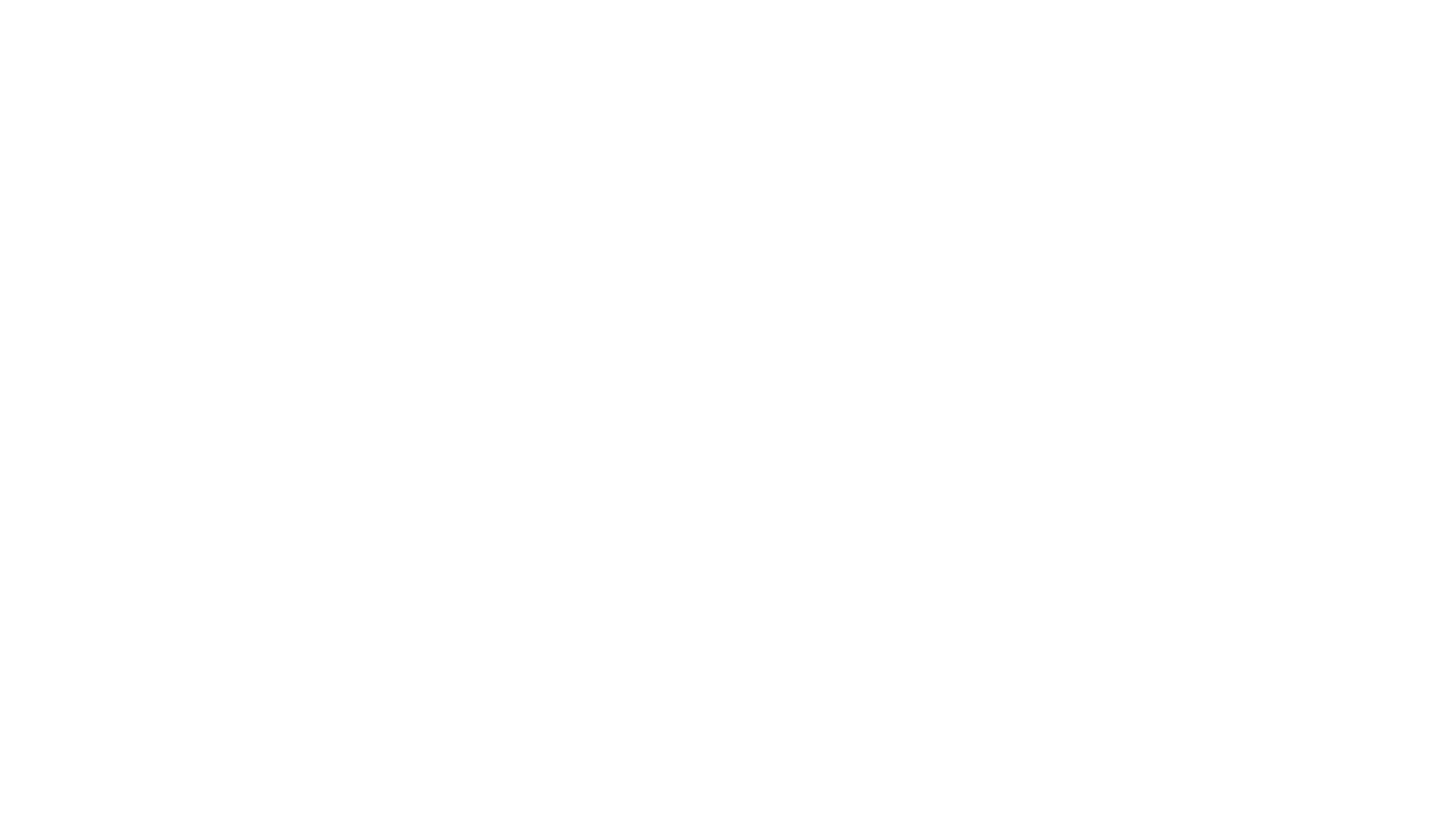 Logo ProAktiv Fitness White